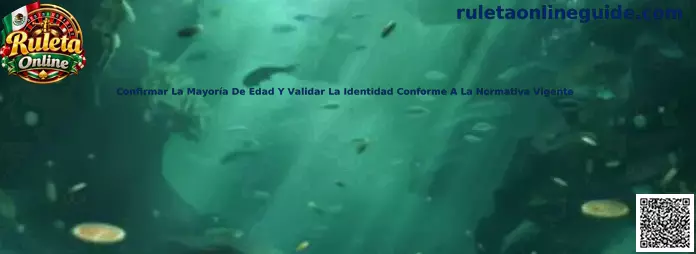 Confirmar la mayoría de edad y validar la identidad conforme a la normativa vigente