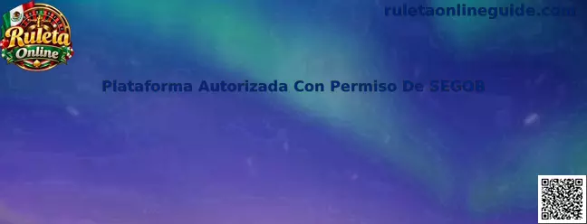 Plataforma Autorizada Con Permiso De SEGOB en México